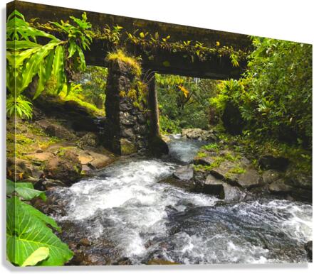 Tiki Times Canvas Print