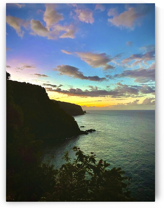 Last Day in Paradise by Meena Nieve