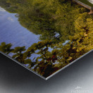 Kahiko Times Metal print