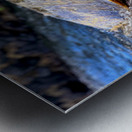 turtle Metal print