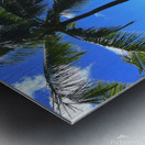 Sun Palm Metal print