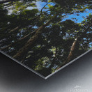 Mountain Messengers  Metal print