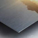 A Hui Hou Metal print