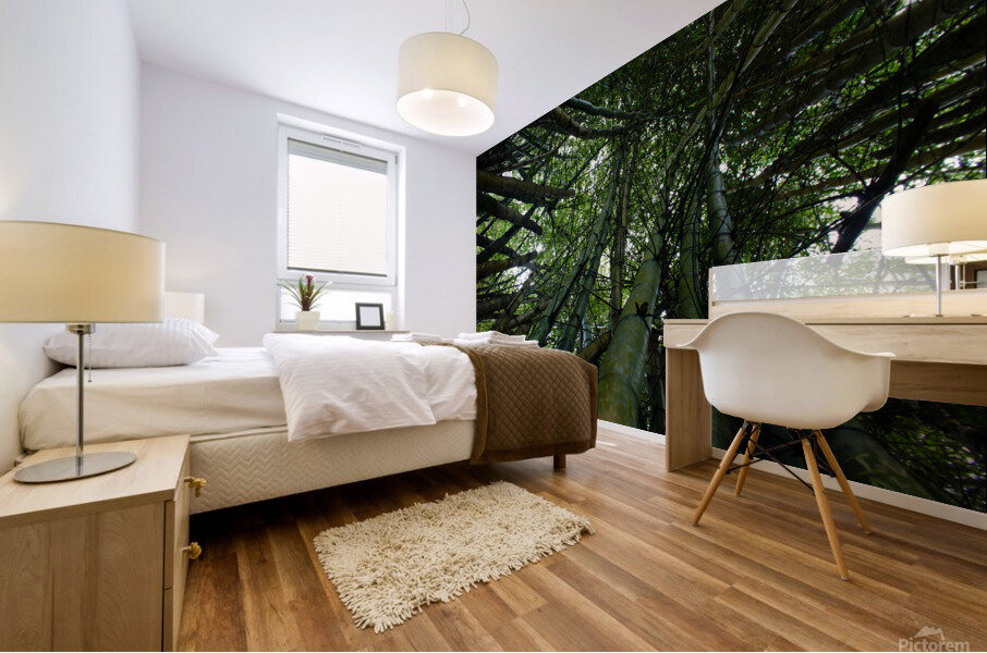 Bamboo Forest Mural print