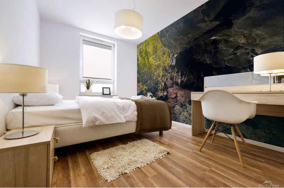 Hollow Mural print