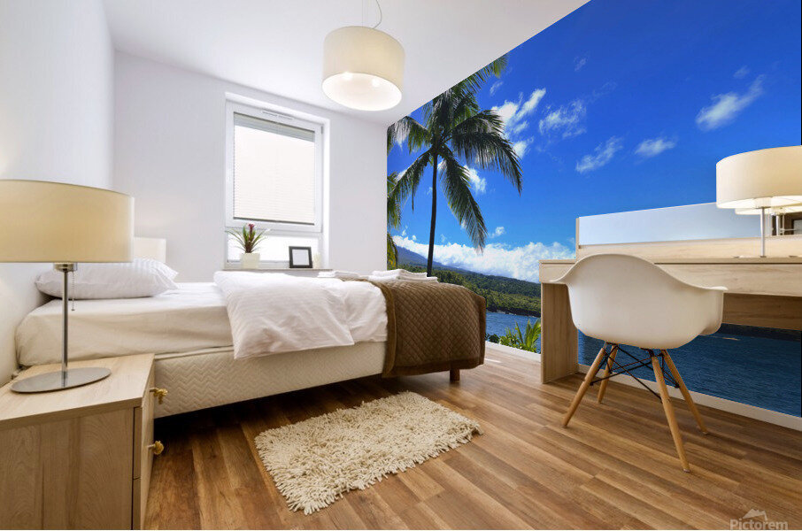Sun Palm Mural print