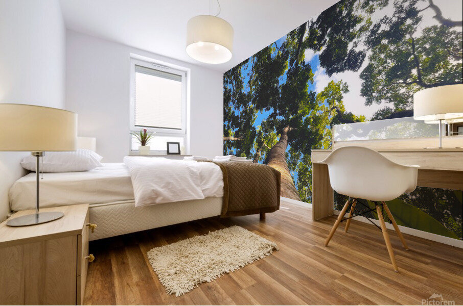 Mountain Messengers  Mural print
