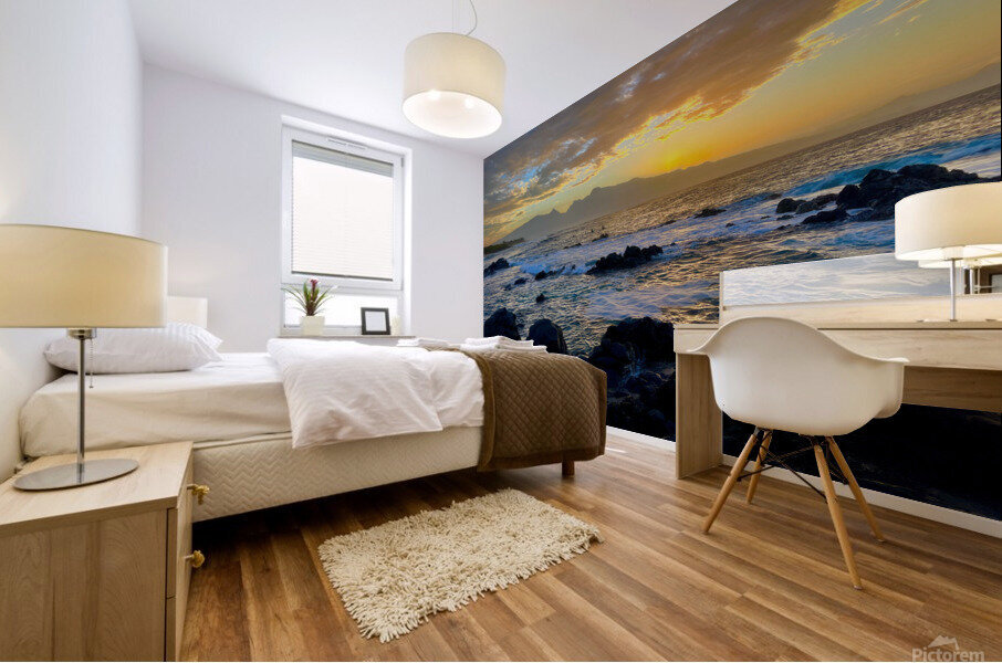 Hookipa  Mural print