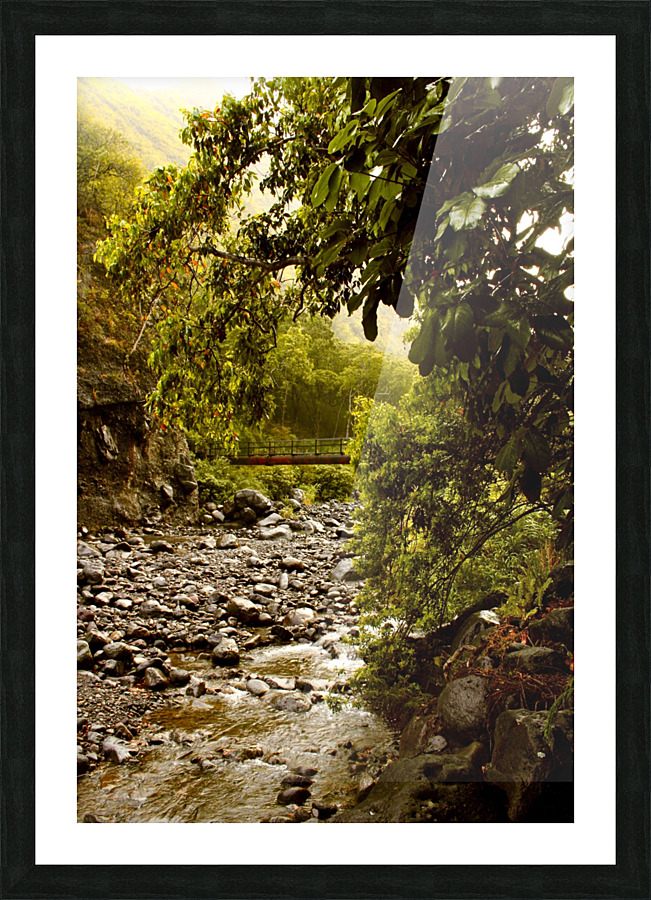 Jurassic Jungle Picture Frame print
