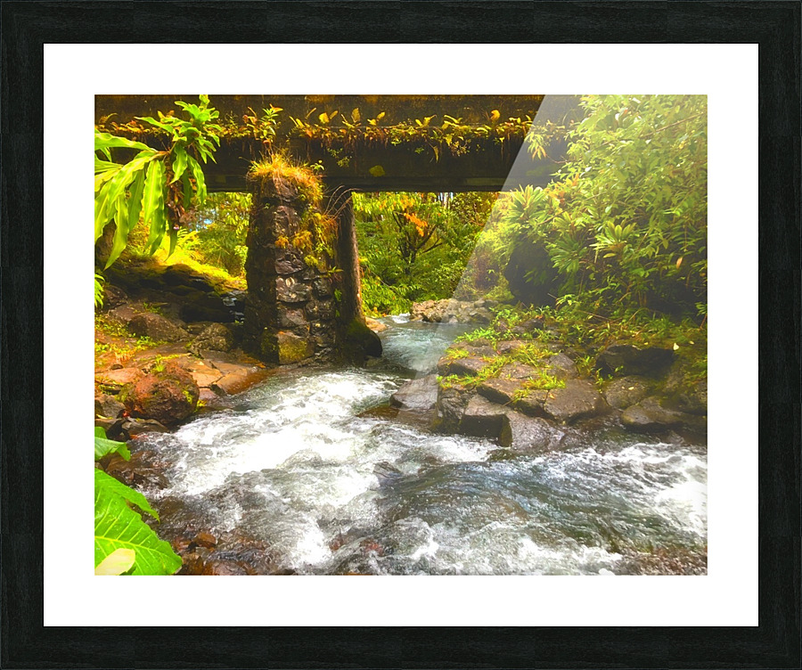 Tiki Bridge Picture Frame print
