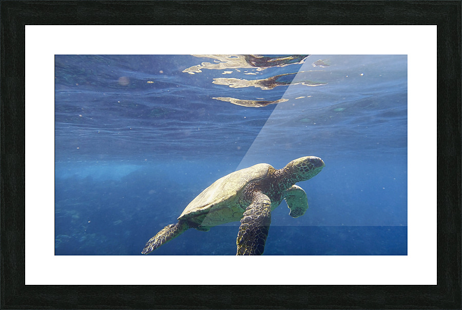 Sea Gems Picture Frame print