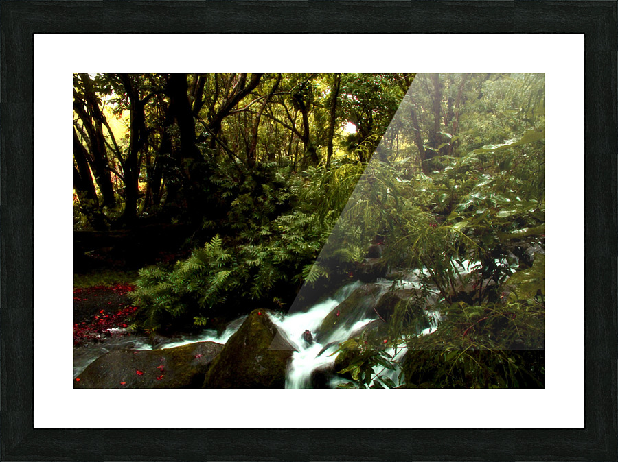 Nani Stream Picture Frame print