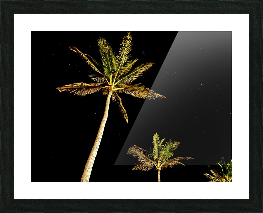 West Palms Picture Frame print