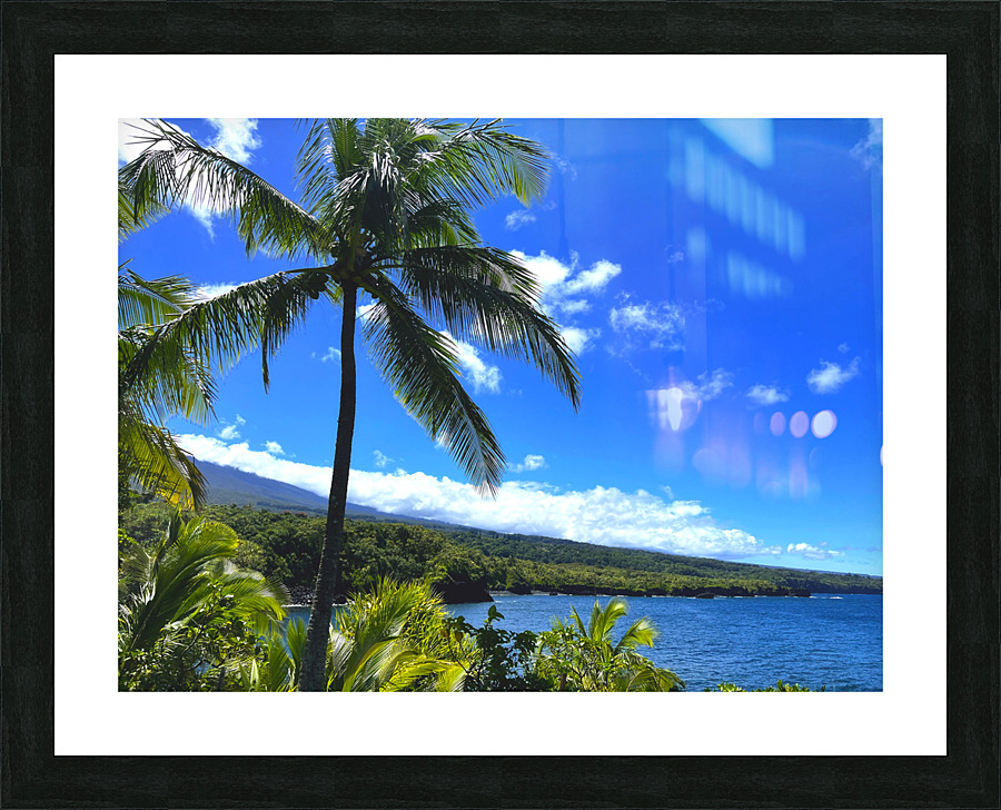 Sun Palm Picture Frame print