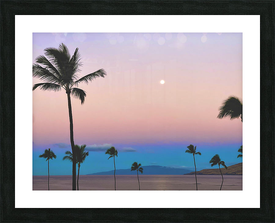 Pink Lani Picture Frame print