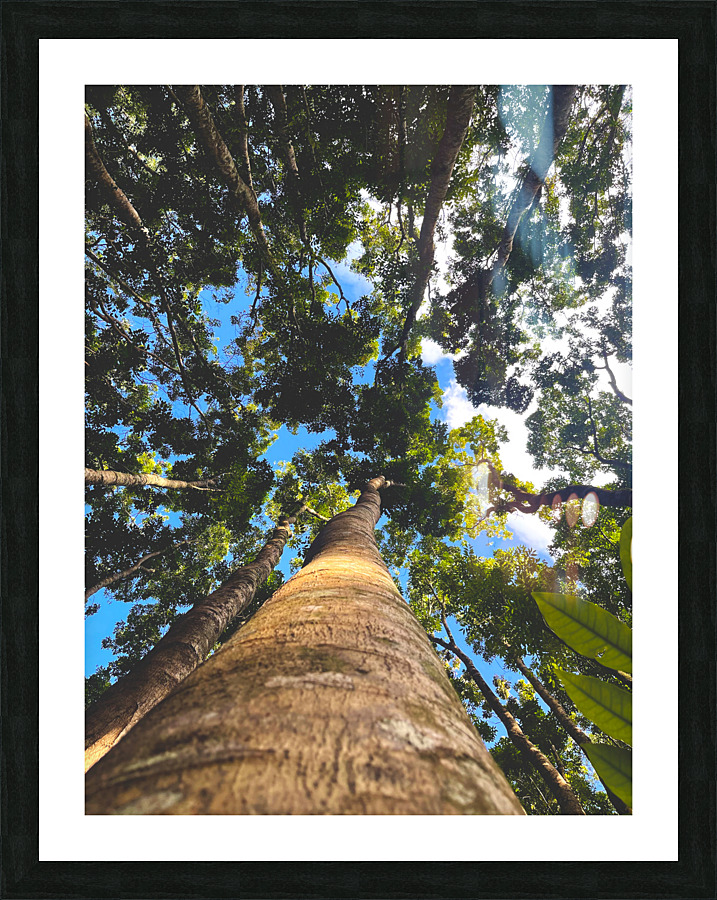 Mountain Messengers  Picture Frame print