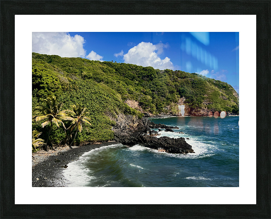 Vintage Palm Picture Frame print
