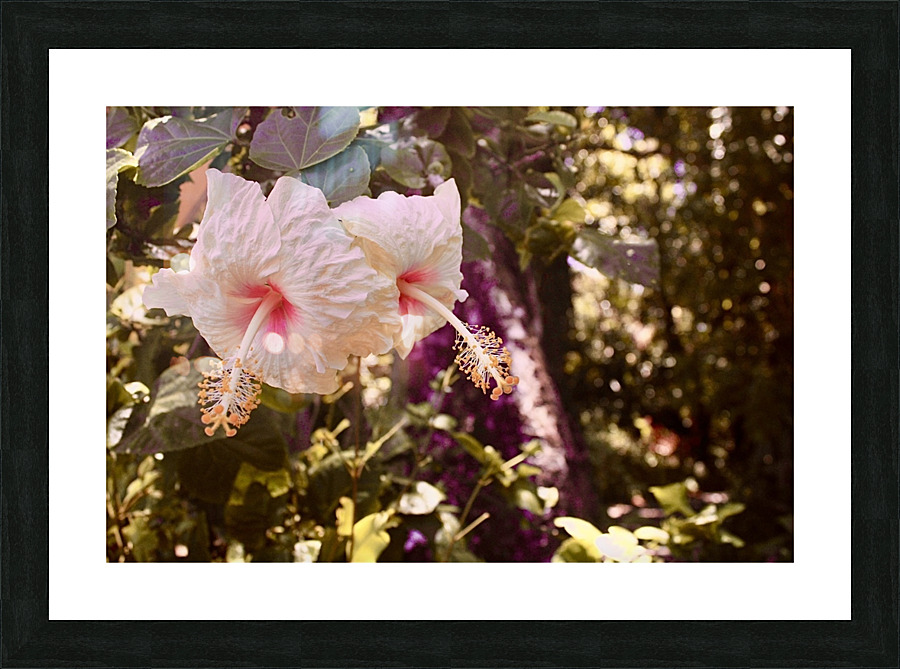 My Flower Picture Frame print