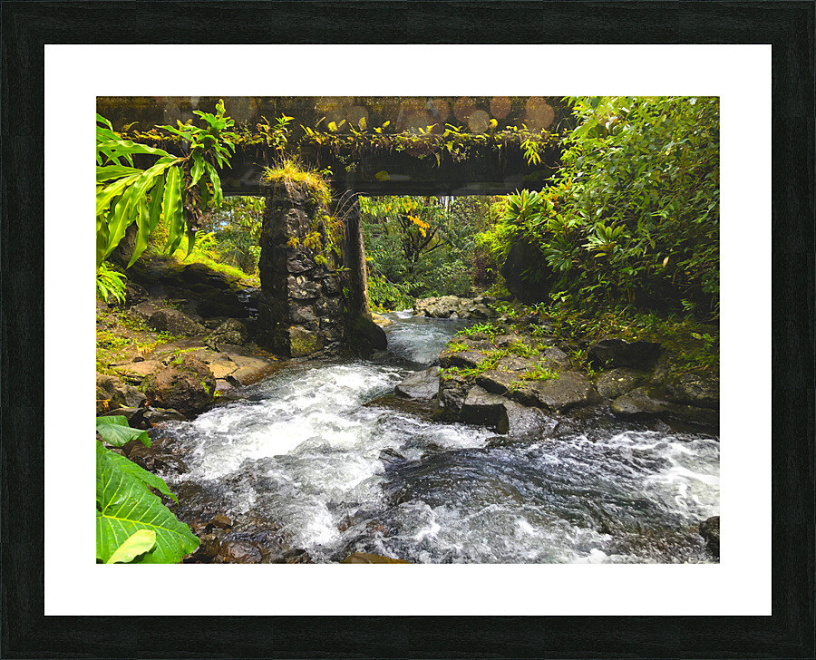 Tiki Times Picture Frame print