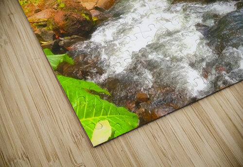 Tiki Bridge Meena Nieve puzzle