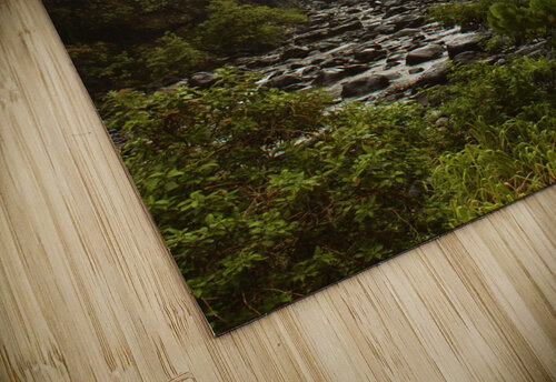 Land Before Time Meena Nieve puzzle