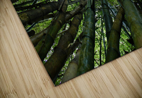 Bamboo Forest Meena Nieve puzzle