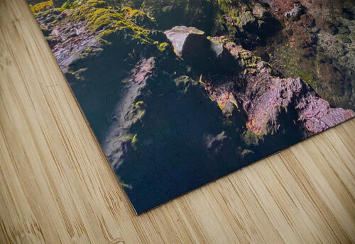 Hollow Meena Nieve puzzle