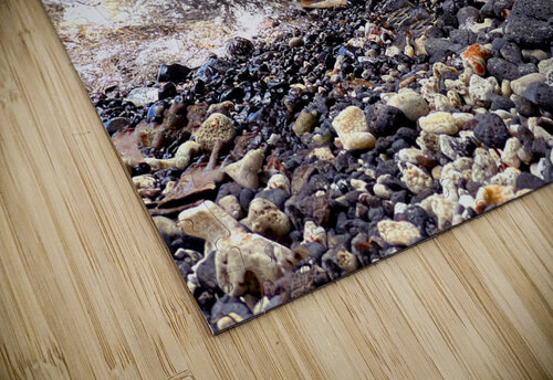 turtle Meena Nieve puzzle