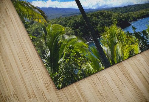 Sun Palm Meena Nieve puzzle