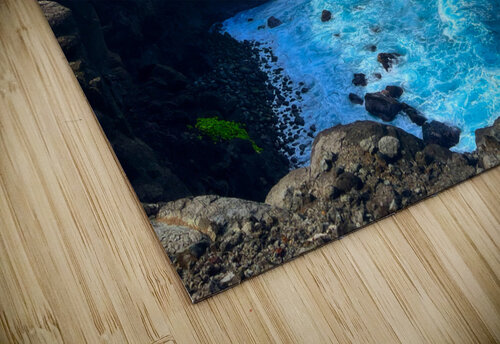 Harmony Meena Nieve puzzle