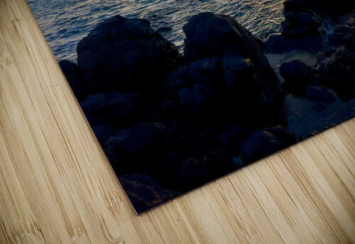 Hookipa  Meena Nieve puzzle