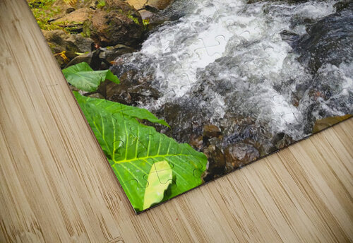 Tiki Times Meena Nieve puzzle