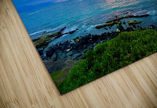 Maui Nui Meena Nieve puzzle