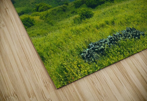 Through the Mountains Meena Nieve puzzle