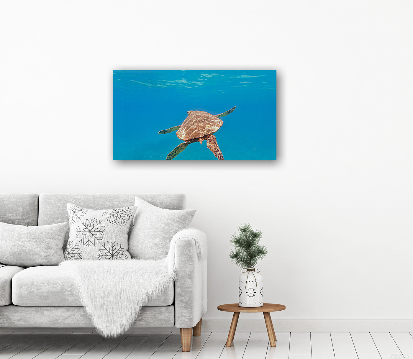 Pacific Honu Reproduction