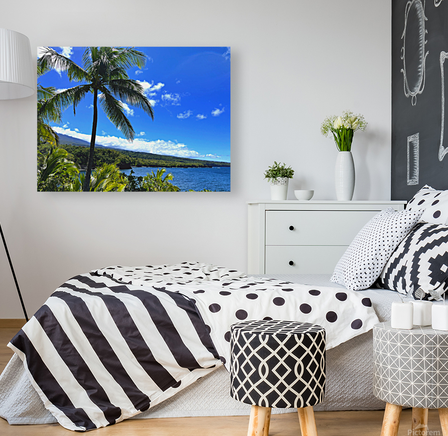 Sun Palm Reproduction