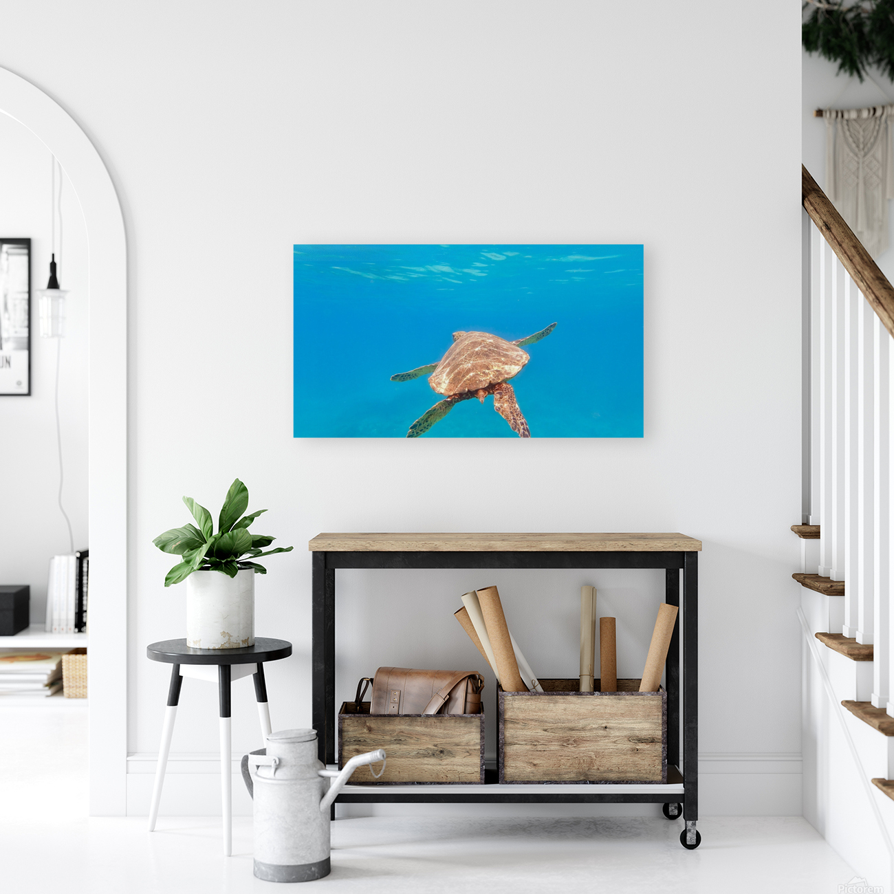 Pacific Honu Reproduction