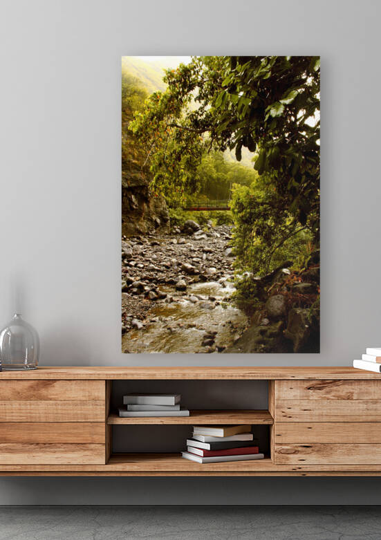 Jurassic Jungle by Meena Nieve