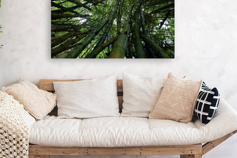 Bamboo Forest by Meena Nieve