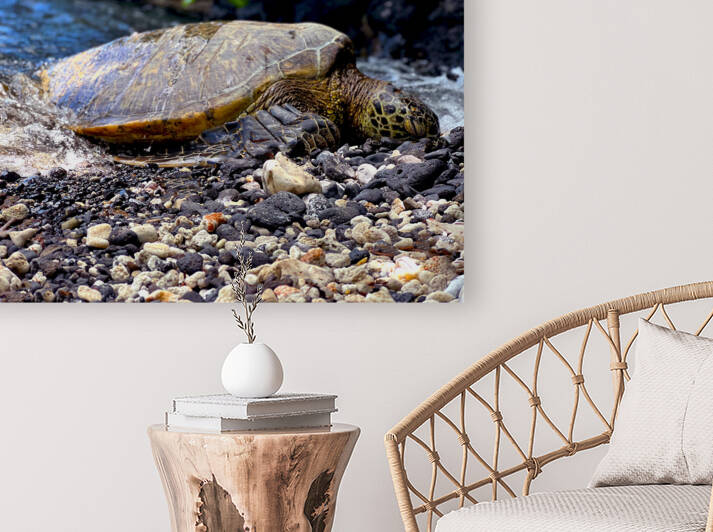 Honu By The South Shore by Meena Nieve