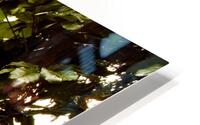Jurassic Jungle HD Metal print