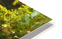 Tiki Bridge HD Metal print
