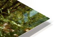Nani Stream HD Metal print