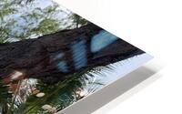 Tropical Tiki HD Metal print
