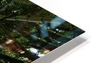 Bamboo Forest HD Metal print