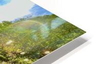 Rainbow Specks  HD Metal print