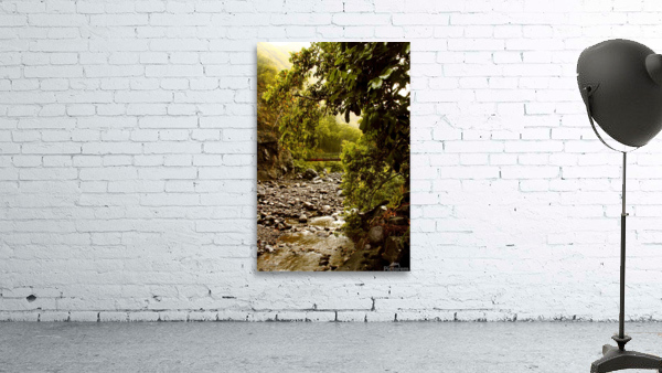 Jurassic Jungle Wall Preview