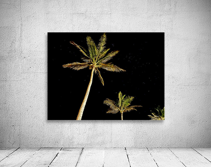 West Palms Wall Preview