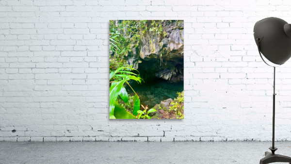 Grove Cavern Wall Preview