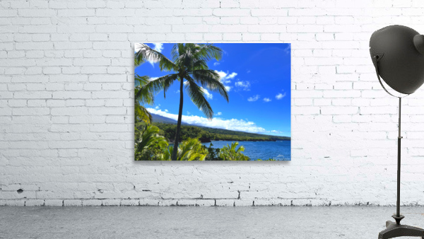 Sun Palm Wall Preview